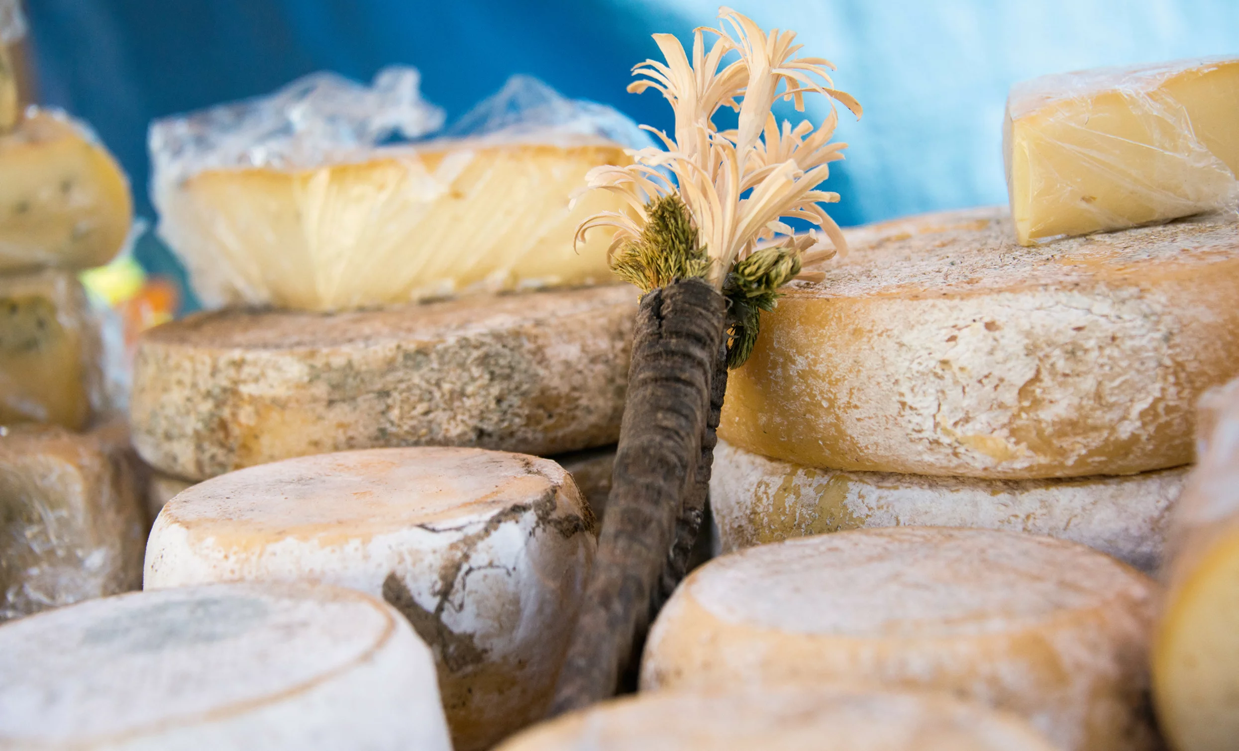 THE FARMER’S MARKET IN COGOLO