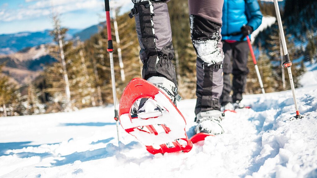 SNOWSHOES AND WALKS: Walk in the silence of the snow